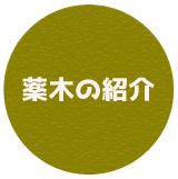 薬木の紹介