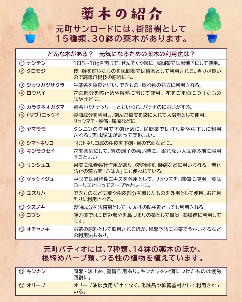 薬木の紹介